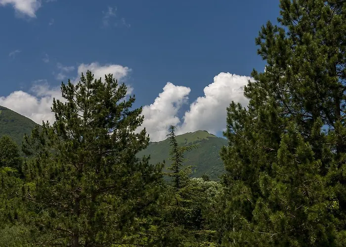 Don Luis Szálloda 3*